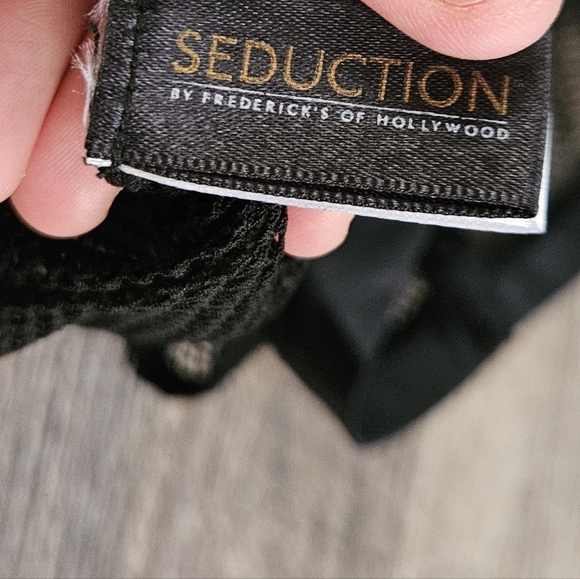 Seduction by fedricks of Hollywood dragon fishnet bodysuit - Picture 5 of 8